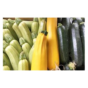 Courgette allongées
