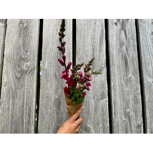 Botte de fleurs - mufliers
