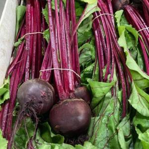 Betterave rouge botte