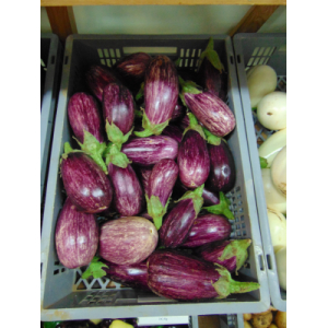 Aubergine bicolore