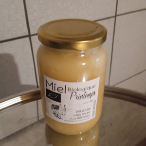 Miel printemps 500g