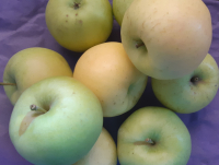 Pomme d'été lafayette 1 kg