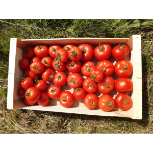 Caisse tomate 7 kg