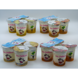 Yaourt brassé sur lit d'abricot et aromatisé