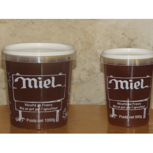 Miel de forêt à dominante sapin