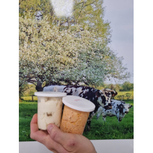 Duo p'tits fromage à tartiner ciboulet/piment