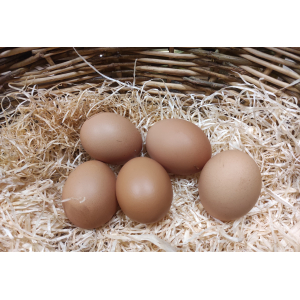 6 œufs extra frais (du jour)