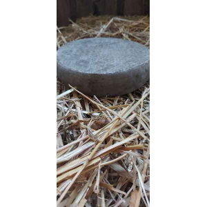 Saint nectaire fermier aop