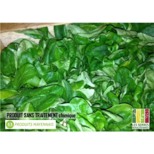 Mâche - 1 personnes