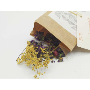 Tisane du barde - guerriers de l'hiver