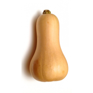 Butternut