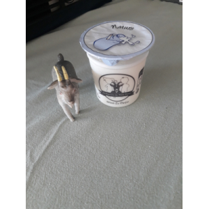 Yaourt chèvre nature