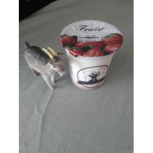 Yaourt chèvre fraise
