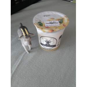 Yaourt chèvre poire