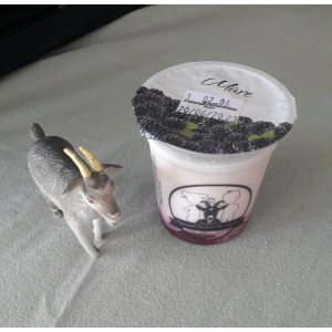 Yaourt chèvre mûre