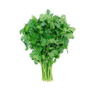 Bouquet de coriandre