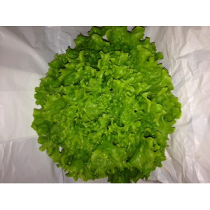Salade batavia