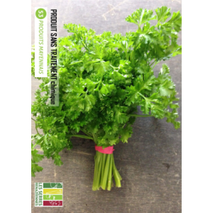 Persil frisé en botte