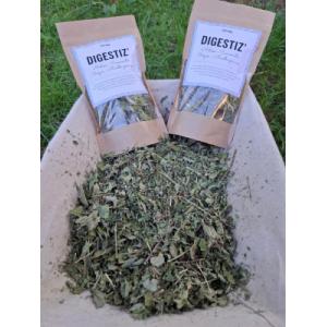 Digestiz'