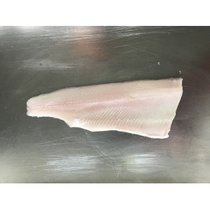 Filet omble de fontaine