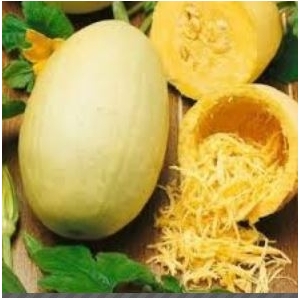Courge spaghetti environ 1kg