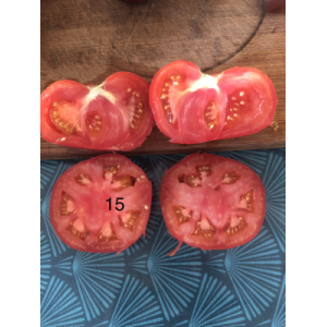 Tomate marmande (graines à semer)