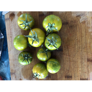 Tomate green zebra (graines à semer)