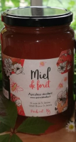 Miel de forêt en pot de 1kg
