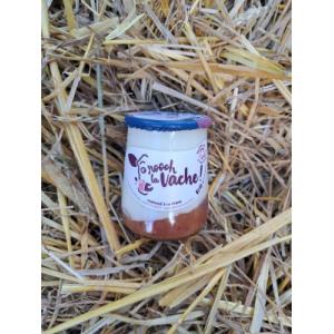 Yaourt grec sur lit de pêche 125g