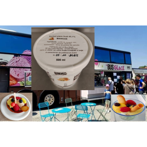 Sorbet plein fruit mangue