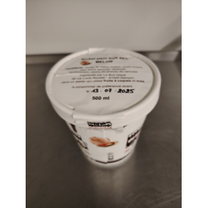 Sorbet plein fruit melon