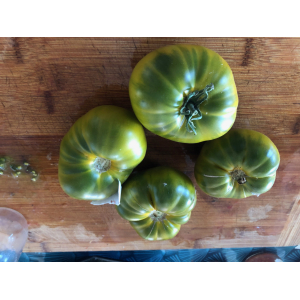 Tomate evergreen (graines à semer)