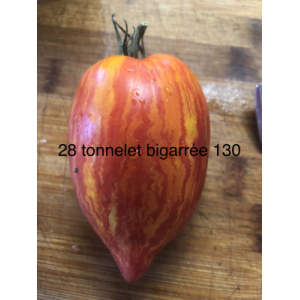 Tomate tonnelet bigarrée (graines à semer)
