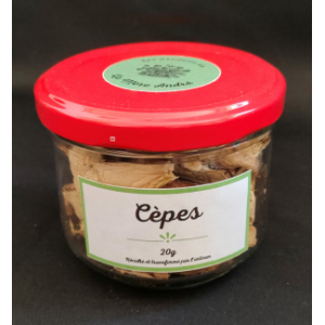 Cèpes