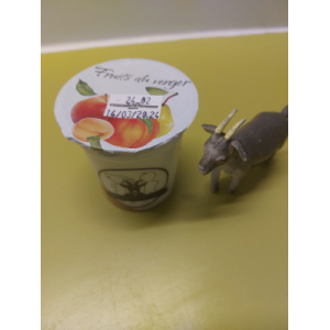 Yaourt chèvre fruits du verger