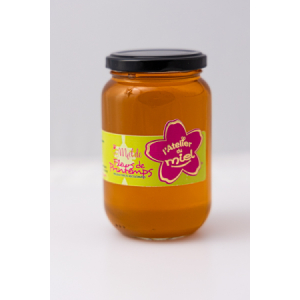 Miel de fleurs de printemps 500g