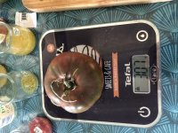 Tomate noire de crimée-(plant)