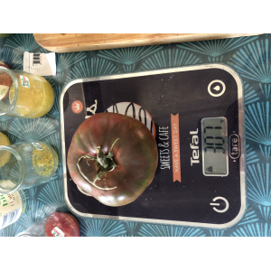 Tomate noire de crimée-(plant)