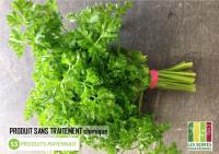 Persil frisé en botte