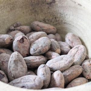 Fèves de cacao nacional