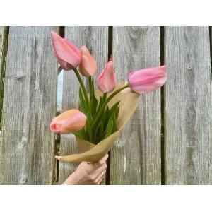 Fleurs - tulipes botte