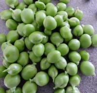 Petits pois