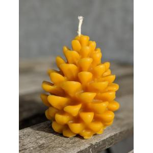 Bougie pomme de pin en cire d'abeille