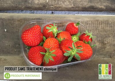 Fraises - 250g