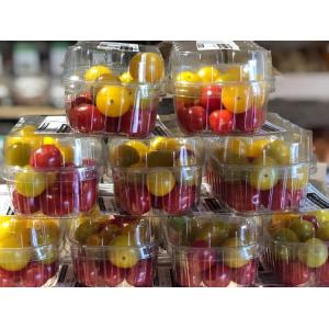 Tomate cerise jaune, rouge et noire