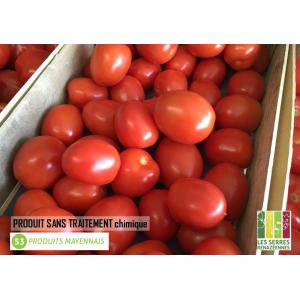 Tomate roma de pleine terre -