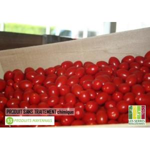 Tomate cerise rouge -