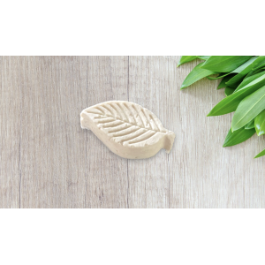 Shampoing solide lait de coco