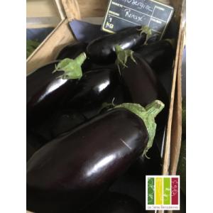 Aubergine