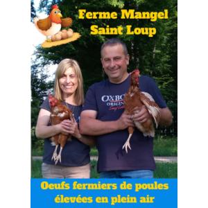 œufs fermiers plein air plateau de 30